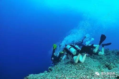星际殖民2